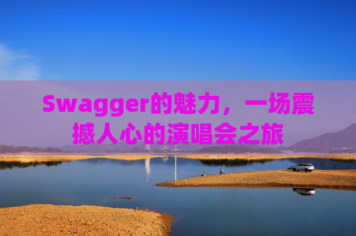 Swagger的魅力，一场震撼人心的演唱会之旅