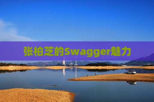 张柏芝的Swagger魅力